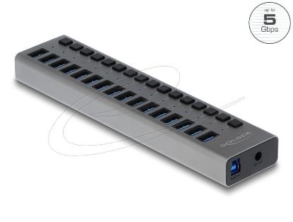 USB HUB DELOCK, 16-portni USB 3.2, s prekidačima, sivi