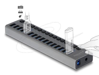 USB HUB DELOCK, 16-portni USB 3.2, s prekidačima, sivi