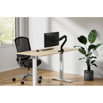 Stojalo za monitor NEOMOUNTS DS70-250BL1, namizno, do 35", za 1 monitor, črno