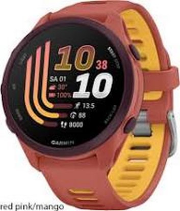Pametni sat GARMIN Forerunner 170 Music, GPS, WiFi, rozi